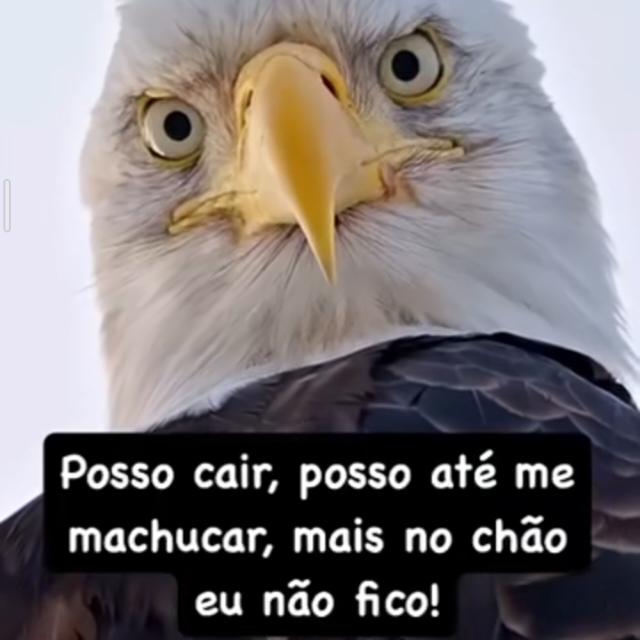 Grupos evangélicos 🙇🏻‍♀️❤️🙏🏻