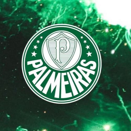 Palmeiras💚🤍