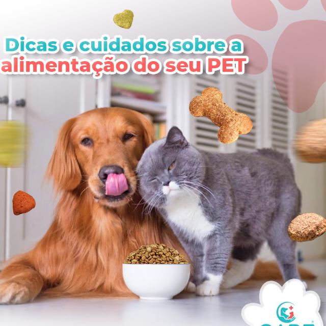 Cuidados com o seu pet🤩❤️