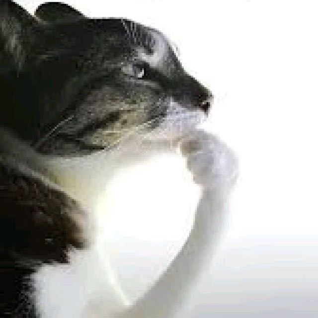 𝘿𝙚𝙗𝙞 𝙚 𝙇𝙤𝙞𝙙𝙚
