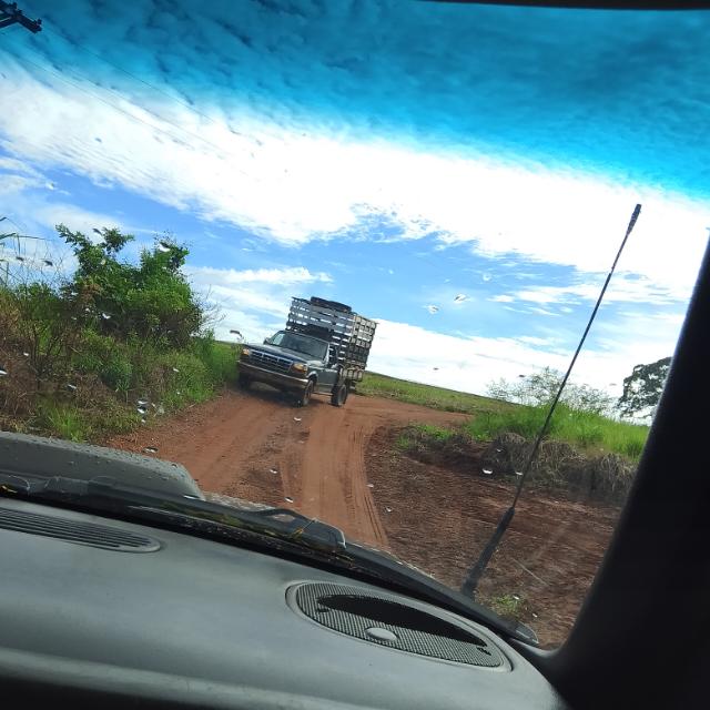 Agromineiro 🐂🇧🇷🌱🌵