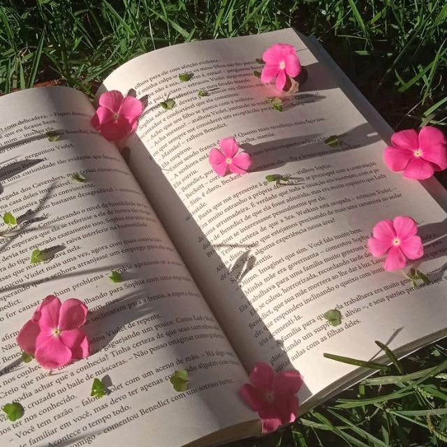 📚 Biblioteca Virtual 📚