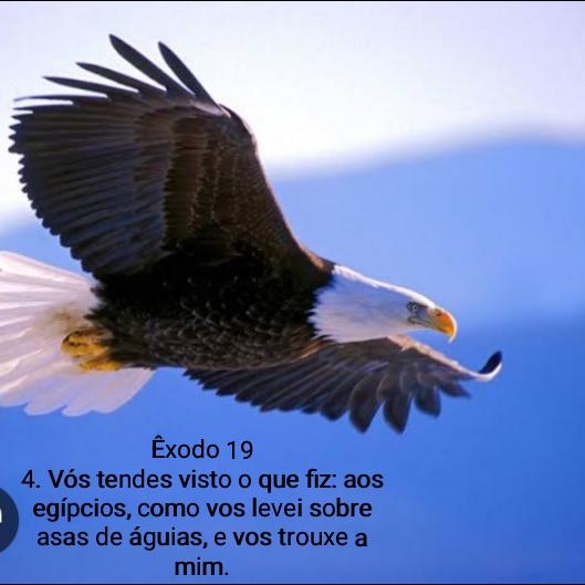 "Presente Verdade" para nosso dia dia.